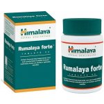 Himalaya Rumalaya Forte 60 tablet – Hledejceny.cz
