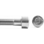 Šroub válcová hl. imbus nerez A2, DIN 912 - M6x110 – Sleviste.cz