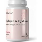 Vitaden Beauty Kolagen & Hyaluron 666 g – Hledejceny.cz