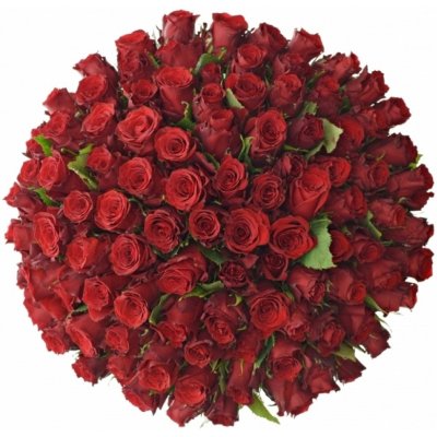 Kytice 100 rudých růží RED TORCH 70 cm – Zboží Dáma