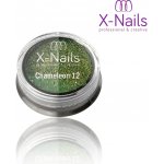 X Nails leštící chameleon pigment CHAMELEON FLAKES GREEN – Hledejceny.cz
