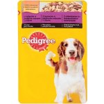 Pedigree Adult kuře zelenina 100 g – Sleviste.cz