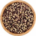 Vital Country Kukuřice na popcorn Blue Diamond BIO 500 g – Zboží Dáma
