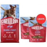 Carnilove Active Adult All Breeds Salmon & Turkey 12 kg – Zboží Mobilmania