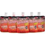 Carne Labs L-Carnitin 3000 gel 60 g – Sleviste.cz