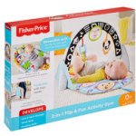 Fisher Price Dečka pro aktivní zábavu 2v1 – Zbozi.Blesk.cz