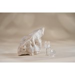 Kvitok Solution Derma Stamp pečující razítko s mikrojehličkami – Sleviste.cz