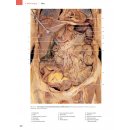 Anatomie člověka - fotografický atlas - 9. vydání - Johannes W. Rohen, Chihiro Yokochi, Elke Lütjen-Drecoll