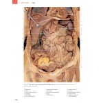 Anatomie člověka - fotografický atlas - 9. vydání - Johannes W. Rohen, Chihiro Yokochi, Elke Lütjen-Drecoll – Zboží Mobilmania