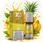X4 Bar Juice Tropické ovoce 10 ml 10 mg – Hledejceny.cz