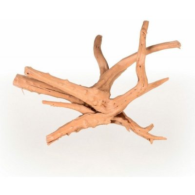 Tommi Azalea Root S 20-30 cm – Zboží Mobilmania