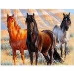 Vikpap 30 x 20 cm Arabský plnokrevník – Hledejceny.cz