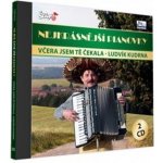 Kudrna Ludvík - Včera jsem tě čekala CD – Hledejceny.cz