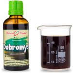 Bylinné kapky tinktura Dobromysl nať 50 ml – Hledejceny.cz