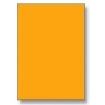 Rayfilm R01331123A 210 x 297 mm 100 etiket oranžová fluo – Zboží Dáma
