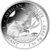 Bayerische Hauptmünzamt stříbrná mince African Wildlife Elephant 2023 1 oz