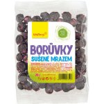 Wolfberry Borůvky lyofilizované 20 g – Sleviste.cz