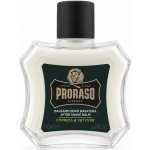 Proraso Cypress and Vetyver balzám na vousy 100 ml – Zboží Dáma