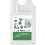 Dromy BOSWELLIA Serrata liq. 1000 ml – Sleviste.cz