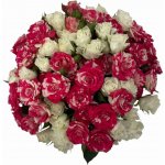 Kytice míchaná 100+ květů růží KRISTINA 40 cm – Hledejceny.cz