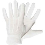 Cerva Bustard – Sleviste.cz