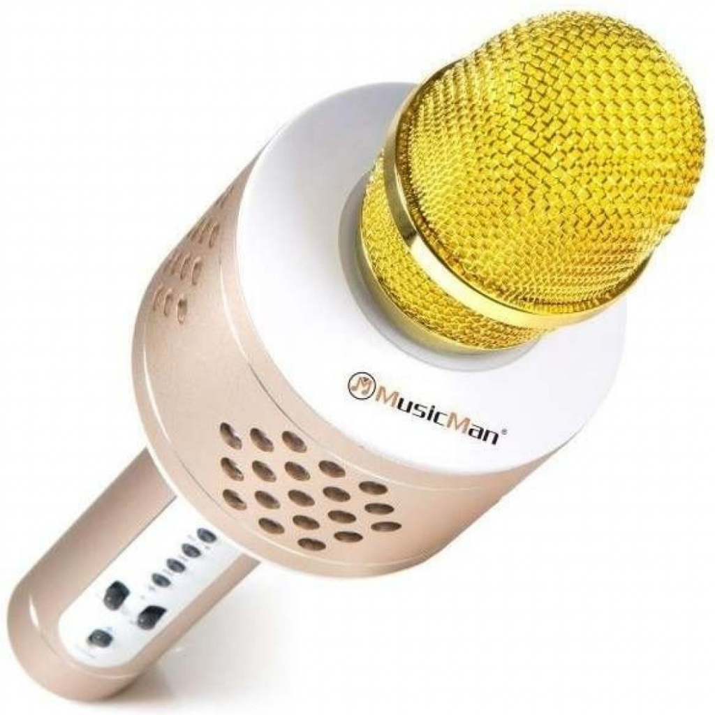 Teddies Mikrofon karaoke Bluetooth zlatý na baterie s USB kabelem od 625 Kč  - Heureka.cz