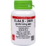 Sinecura XLA4.9-2499 guizhi fuling wan 60 tablet – Hledejceny.cz