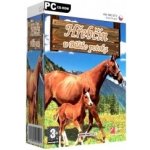 Hřebčín U Bílého potoka – Zboží Dáma