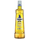 Puschkin Time Warp 17,7% 1 l (holá láhev) – Zboží Mobilmania