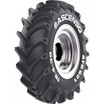 Ascenso AFB 821 R-1 18.4-34 155A8 TL – Hledejceny.cz