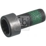 Sroub setrvacniku FEBI BILSTEIN 179619 | Zboží Auto