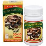 Terezia Company Hlíva Ústřičná 60 kapslí – Hledejceny.cz