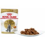 Royal Canin British Shorthair pro kočky 85 g – Hledejceny.cz