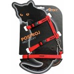 BAFPET Set postroj + vodítko pro kočky 19 - 26 cm 24 - 37 cm – Hledejceny.cz
