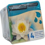 Trio leknínů (Nymphaea ‘Alba’, ‘Attraction’, ‘Chromatella’) – blistr – Zboží Dáma