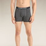 Icebreaker Merino 150 Anatomica Boxers Ski Day Men – Zboží Dáma
