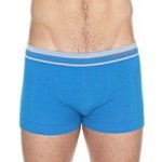 Brubeck Active Wool Mens Boxer Shorts blue – Hledejceny.cz