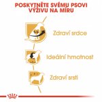 Royal Canin Cavalier King Charles Adult 1,5 kg – Zboží Mobilmania