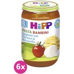 Hipp Bio Rajčata se špagetami a mozzarellou PASTA BAMBINI bezmasý 3 x 220 g – Zboží Mobilmania