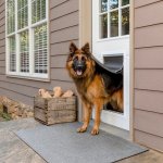 PetSafe® Extreme Weather Door Hliníkové XL – Zboží Dáma