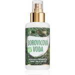 Purity Vision Bio Borovicová voda 100 ml – Zbozi.Blesk.cz