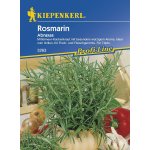 Medikomed éterický olej rozmarýn 10 ml – Zbozi.Blesk.cz