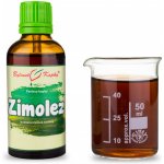 Bylinné kapky Zimolez TCM bylinné kapky tinktura 50 ml – Hledejceny.cz