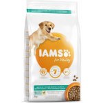 Iams Dog Senior Small & Medium s kuřecím masem 3 kg – Hledejceny.cz