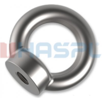 Hašpl MATICE závěsná s okem M8 ZB DIN 582 – Sleviste.cz