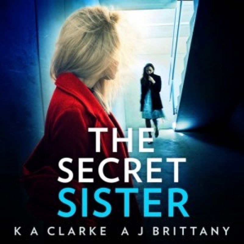 Secret Sister An Utterly Gripping Psychological Thriller Perfect For Fans Of Shalini Boland And