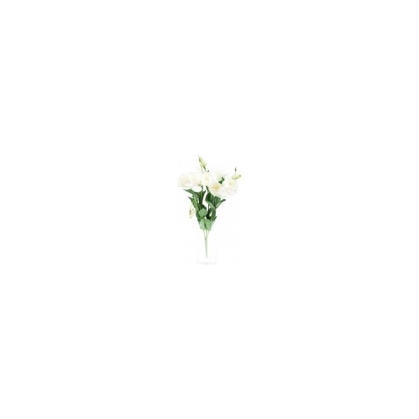Květina Lisianthus bílý trs