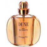 Christian Dior Dune toaletní voda dámská 100 ml – Hledejceny.cz