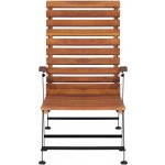 vidaXL Zahradní křeslo masivní akáciové dřevo 44390 – Hledejceny.cz