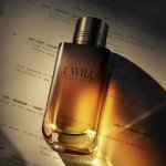 Giorgio Armani I Will parfémovaná voda pánská 30 ml – Hledejceny.cz
